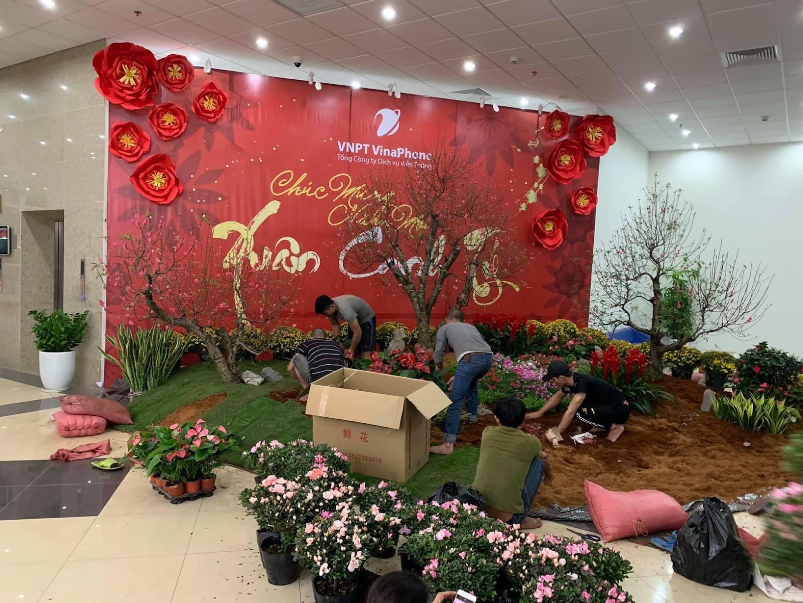 Dịch vụ trang trí Tết ở Trần Phú